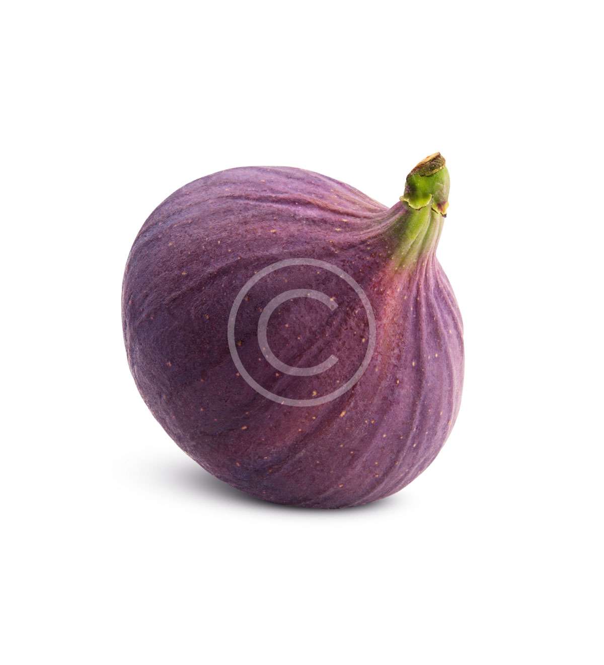 Fresh Figs – Sgobba S.r.l.